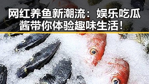 网红养鱼新潮流：娱乐吃瓜酱带你体验趣味生活！