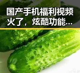 国产手机福利视频火了，炫酷功能和实用技巧一网打尽！✨