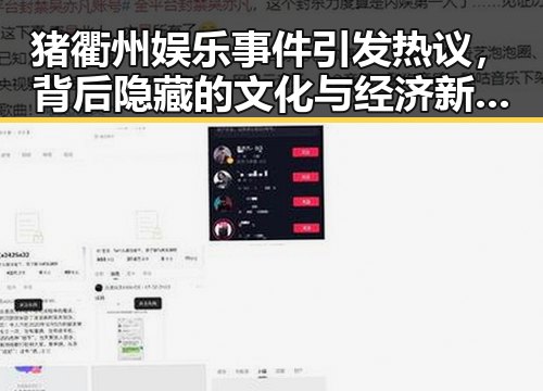 猪衢州娱乐事件引发热议，背后隐藏的文化与经济新趋势