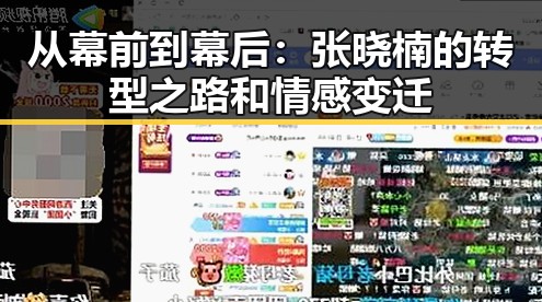从幕前到幕后：张晓楠的转型之路和情感变迁