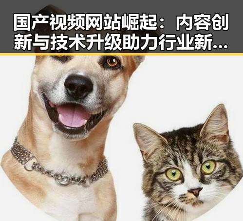 国产视频网站崛起：内容创新与技术升级助力行业新发展