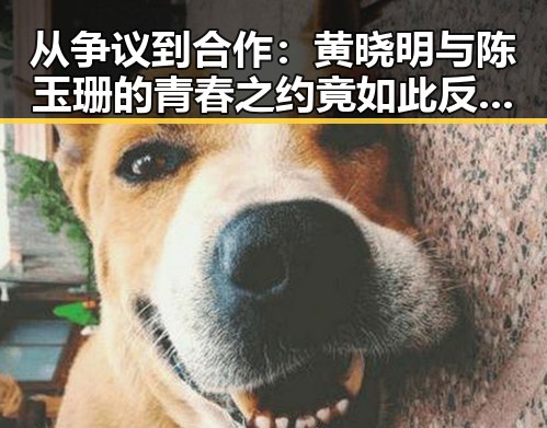 从争议到合作:黄晓明与陈玉珊的青春之约竟如此反转?